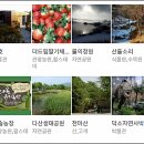 더제이에스부동산중개법인 이미지