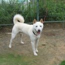 고니농장 이미지