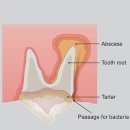 박순석동물메디컬센터 이미지