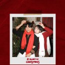 반려견 2호점 | [홍대 반려견동반가능] 홍대2호점 셀프사진관 오디티모드 크리스마스컨셉촬영후기