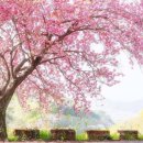 금봉촌경로당 이미지