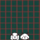 아일랜드PC방 이미지