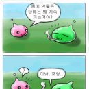 포포링 이미지