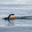 수영통상 이미지