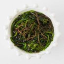 바다손애