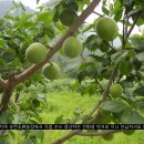 마륜농장 이미지