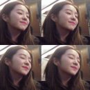 댕댕이지 이미지