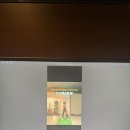 비바골프 이미지