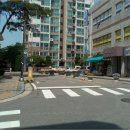 서울선사초등학교 이미지