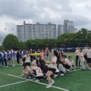 상원고 이미지
