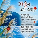 🌱26년8월15일 정기여행 군산 호수.구불길.비응항 예약자 이미지