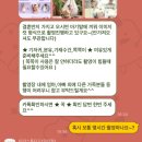 일산 미가 스튜디오 식사동 | 신생아 아기 사진 50일 촬영 준비물 리얼 내돈내산 후기