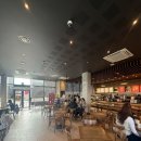 하이파크2로 | 스타벅스 마일로 베이프 리유저블컵 일산가구단지점 꿀팁 오픈런 후기