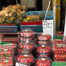 관악중학교 | 2025년이 3주 남았다니