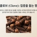 건강의향기