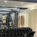 피트니스 온 이미지