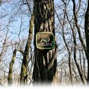 마국산둘레길 이미지