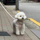 11215-자양2-379 | 일상모음.zip📌