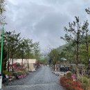 제천백운썬밸리 캠핑장 후기(데크1번 4/29~5/1)