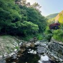 라비본 | 경기도 이천 데이트 라드라비 리조트 레스토랑 구워주는 야외 바베큐 후기