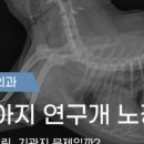 나의 동물메디컬 센터 이미지