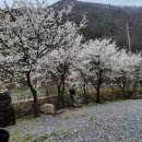 자연체험학습장 화장실 | 제천캠핑장, 낚시와 자연이 함께하는 가마실캠핑장 후기