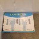 탁구중급1반 | [고양시SNS모니터단] 고양어울림누리-얼음마루 빙상장에 방문하다