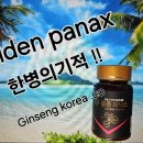 파낙스진생 이미지