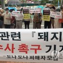 도나도나 이미지