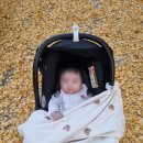 병점근린공원 배드민턴장 | 서울 도심 속 숲! 아기랑 유모차 산책하기 좋은 상계근린공원 후기🌿