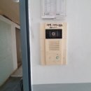 그린비디오 이미지