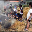 외포초등학교 이미지