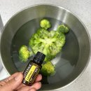 아딸 | 포천아이체험 아딸농장 딸기체험아닌 분양 후기｜우리 가족 겨울 면역을 지키는 가장 달콤한 방법