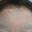 알로에피부연구소 이미지