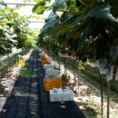 사직농장 이미지