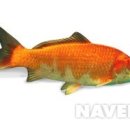 또와또 실내낚시터 이미지