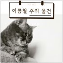 펫아미 강아지분양 고양이분양 동탄점 | 동탄에서 만나는 프리미엄 브리티쉬숏헤어, 펫아미 강아지분양 고양이분양 동탄점^^!