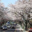 제주앵글 이미지
