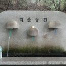 수락이오냉면 이미지