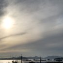 진해농장 이미지