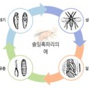 산림해충이란 이미지