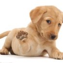 월평동-1 이미지