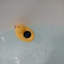 한양고운세신샵 | [김포 한양고운세신샵] 힐링 세신 체험 후기 고촌 1인전용 세신샵 리뷰