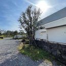 스테이낭 이미지