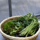 유림-1145 | [강원 홍천] 애견 동반 숙소인데 강아지를 안 데려감 (띠용)