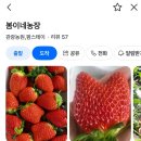 정감농장 이미지