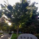 평리 작은도서관 이미지