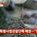 계곡 바위에 220V 콘센트 설치한 장흥계곡 불법 영업 이미지