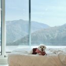 스테이수목 이미지