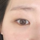 제이메디컬 | 선릉속눈썹펌 네추럴제이 속쌍커풀 노글루엔젤펌 후기